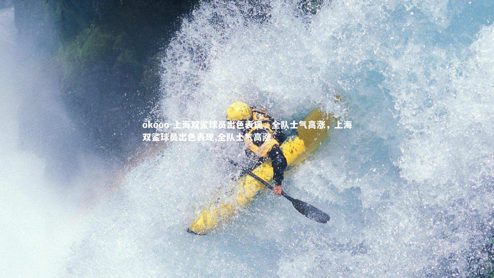 上海双鲨球员出色表现，全队士气高涨，上海双鲨球员出色表现,全队士气高涨